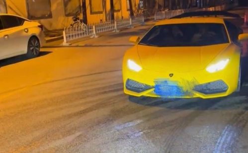 兰博基尼车主在街头逆行并辱骂路人