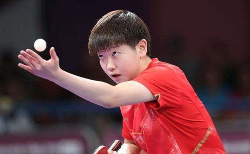 孙颖莎领衔深大乒超阵容，2024赛季看点十足！