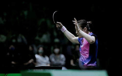 陈梦王楚钦恋情传闻再起？母亲抢注商标引热议，粉丝吵翻了！