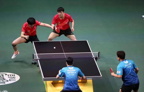 杨毅祝贺王楚钦世乒赛双冠！国乒新星闪耀全球舞台