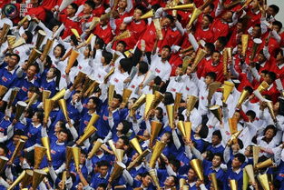 球迷们手持手机拍摄比赛现场