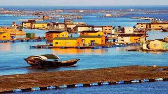 一片广阔无垠的大海