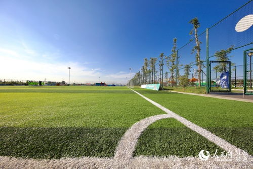 江苏青少年足球训练场景