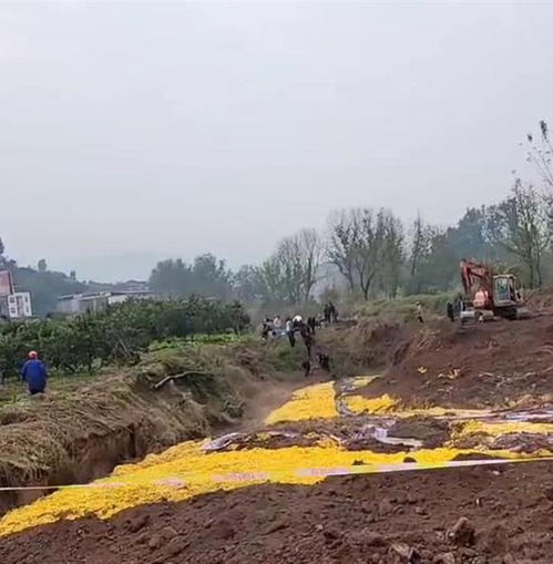 重庆开州区河边救援现场