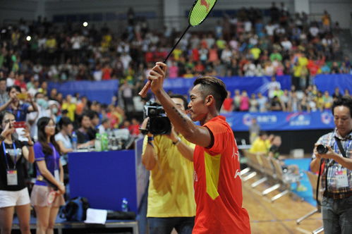 球迷在球场欢呼助威