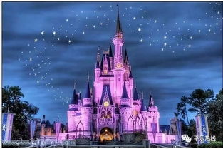 迪士尼打架是否互殴还需细心调查？网友热议背后真相竟出人意料！