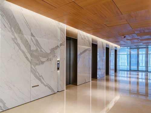 我的电梯时光：一段光影与生活的温柔邂逅