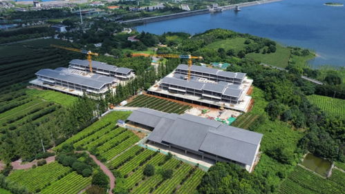 水蜜桃种质资源圃