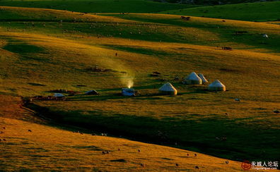 阿勒泰砂涌谣言背后：一张图引发的全网恐慌，真相到底是什么？