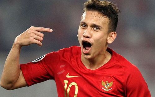 印尼队归化球员合影