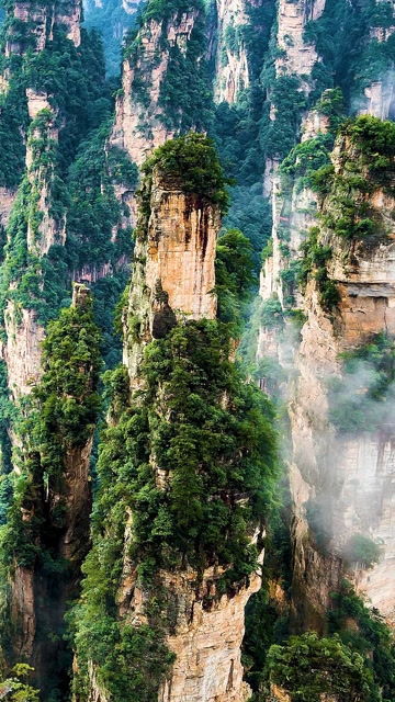 张家界景区管理人员开展环境整治行动