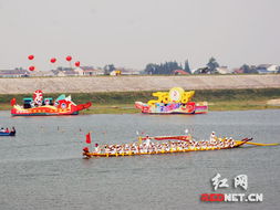 划出“国际范儿”！我的龙舟之旅从汨罗江到世界舞台