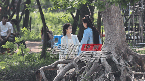 《临江仙》定档引爆微博热搜，白鹿曾舜晞虐恋情深引热议