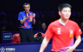 樊振东“最后一舞”后赴欧开启新冒险，波尔致敬：他值得所有掌声