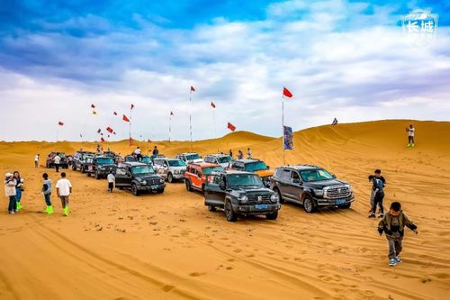 长城汽车环塔欢乐周：从“不会营销”到全民监考的华丽转身