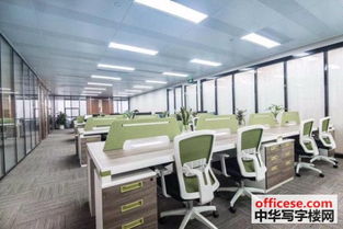 慢性子顾客和急性子裁缝——玎玎背后的故事，原来这才是钉钉的‘无招’