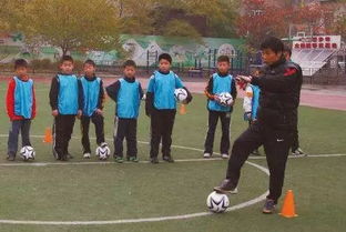 等比例长大的体育健儿们：从青涩少年到世界冠军的蜕变之路