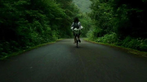 两个朋友在山间开心漫步的画面