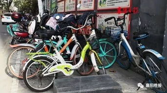 街头停放的共享单车