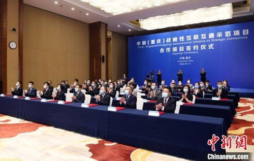 中新合作项目签约仪式现场图