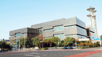 花旗集团中国区迎来新总裁张文杰，他将如何引领未来金融格局？