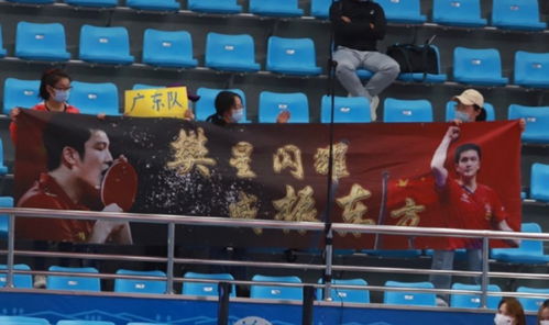 球迷在看台上为樊振东加油