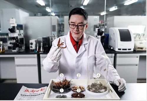 张雪峰公司办公室一角展示员工休息区