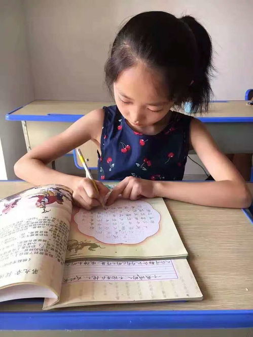 小学生认真读书写字