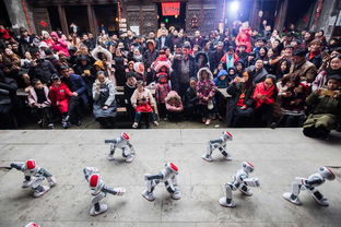 乡村孩子观看机器人舞蹈表演