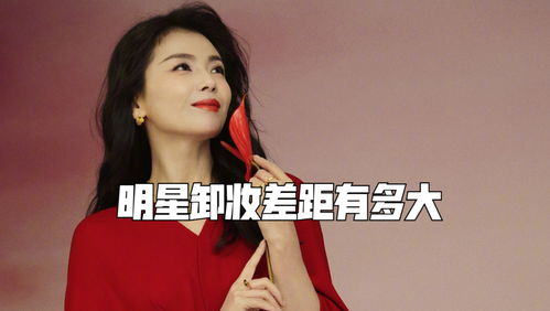 白鹿粉丝在社交媒体支持偶像画面