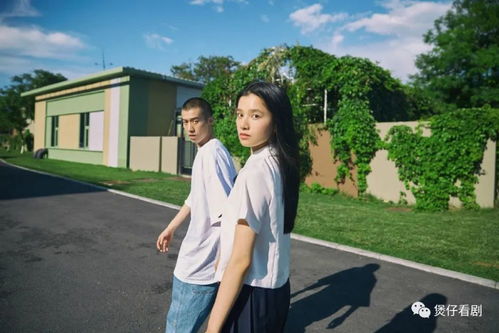 张婧仪无法出戏？网友热议背后的真实情绪与角色深度剖析