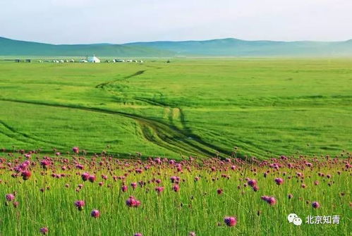 《网上听海外亲友唱祖国颂》：一首小诗背后的家国情怀