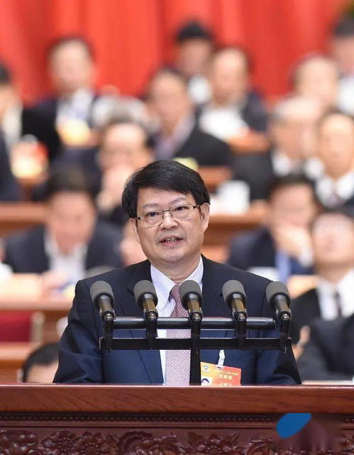 彭勃在会议上发言的照片