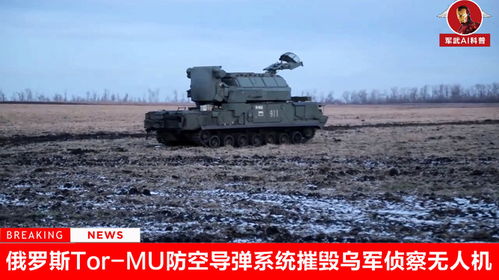 乌方宣称摧毁俄军机 俄媒反驳称谣言 真相到底如何？