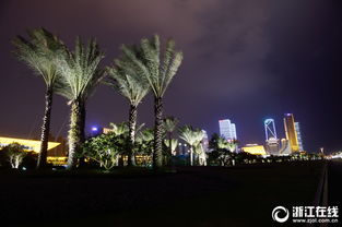 厦门夜景灯光璀璨