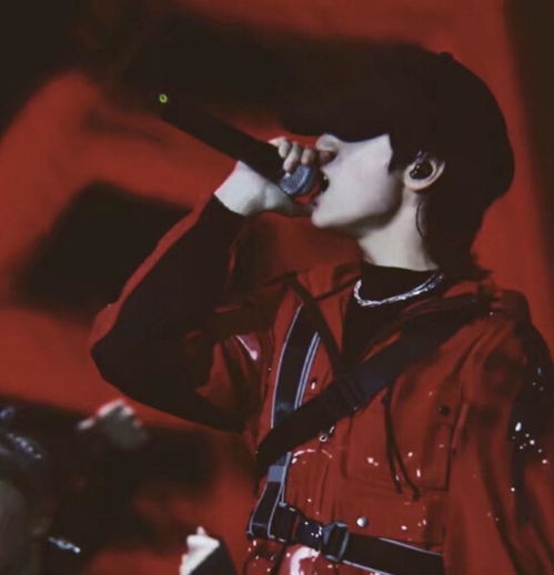 严浩翔粉丝在演唱会现场欢呼