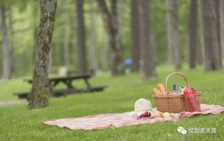 一家人一起在户外野餐