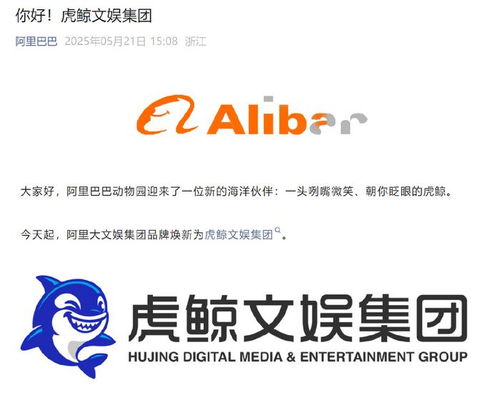 阿里大文娱“去标签”背后：虎鲸文娱能否扛起新使命？