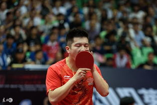 樊振东在训练中指导年轻球员