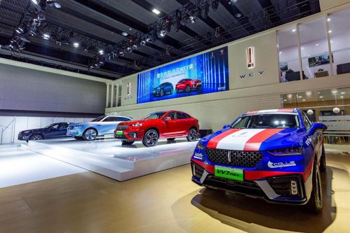 长城汽车新能源车队准备出发