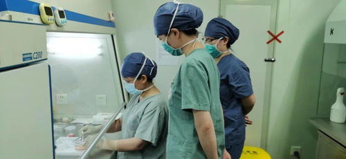 为生命留一份希望：给近300名女童冻存卵巢的真实故事