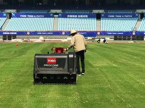 南京奥体中心举办江苏足球对抗赛