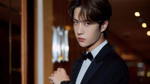 9亿宠粉天猫品牌会员福利大放送！海飞丝王一博限定礼盒引爆粉丝狂欢