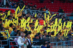 球迷热情助威现场