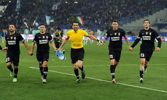 球迷们在看台上欢呼庆祝