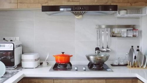 居民住宅区蟑螂防治的方法｜我的亲测经验分享，不再怕小强入侵！