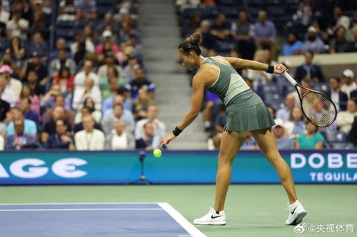 郑钦文再战萨巴伦卡：从失利到复仇的网球逆袭之路