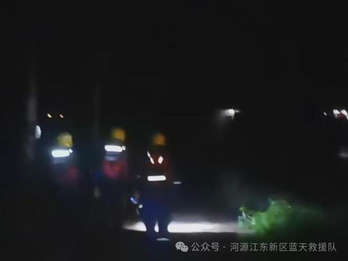 在凌晨三点，我终于学会了与生活和解