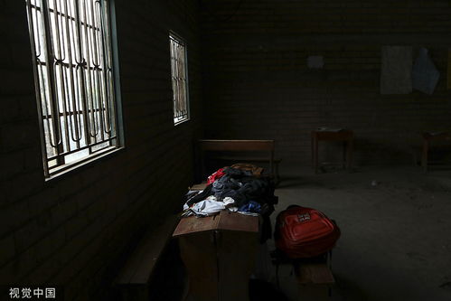 平津侯府内一片混乱