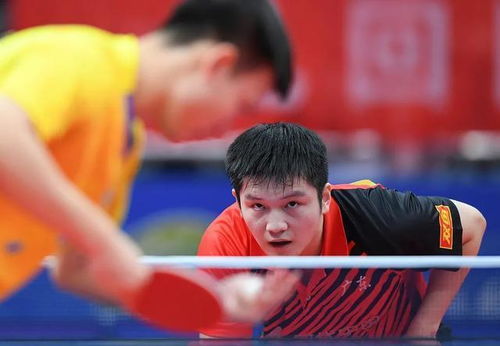 樊振东呼吁球迷理性追星